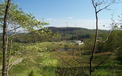 Cabin on the Hill View